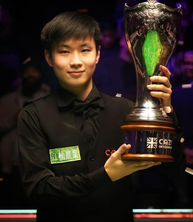 夏洛特黄蜂 夏洛特黄蜂