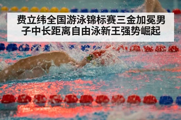 费立纬全国游泳锦标赛三金加冕男子中长距离自由泳新王强势崛起