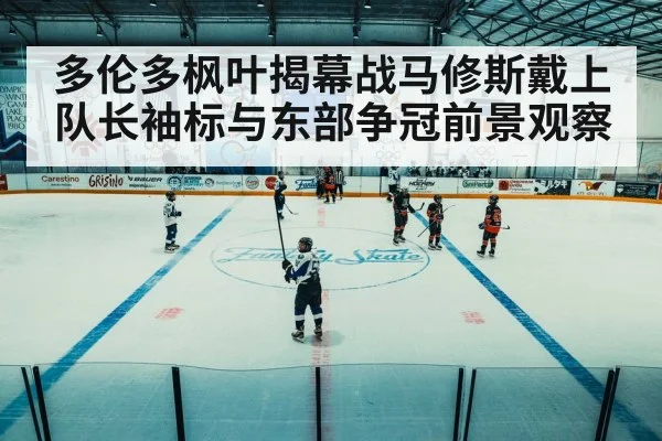 ice hockey arena game